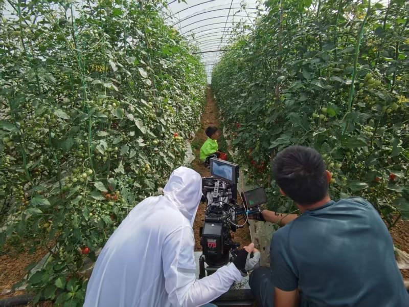 茄子河区产品宣传视频拍摄公司进阶指南，助力品牌抢占传播高地